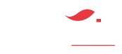 Art Studio